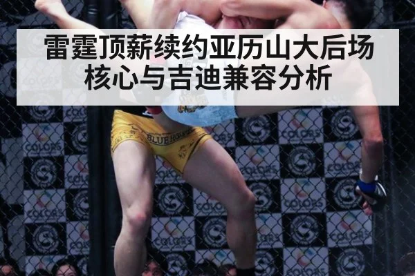 雷霆顶薪续约亚历山大后场核心与吉迪兼容分析 | kaiyun