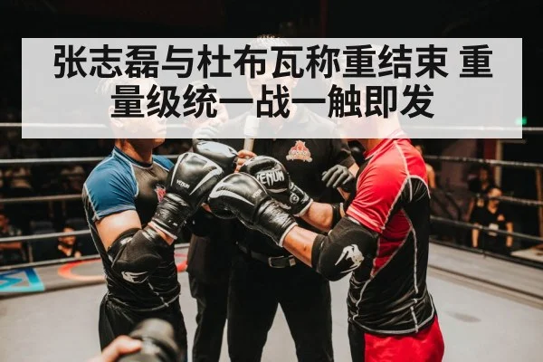 张志磊与杜布瓦称重结束 重量级统一战一触即发 | kaiyun