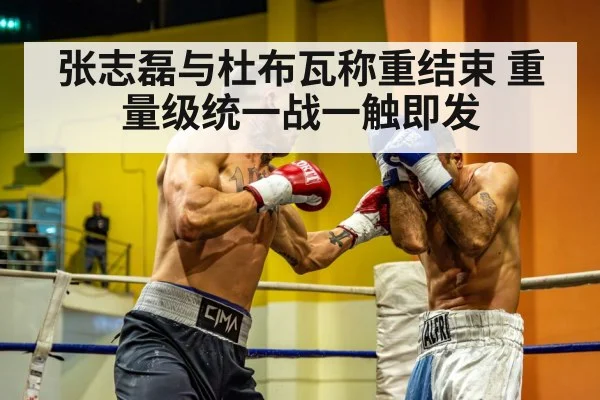 heavyweight boxers